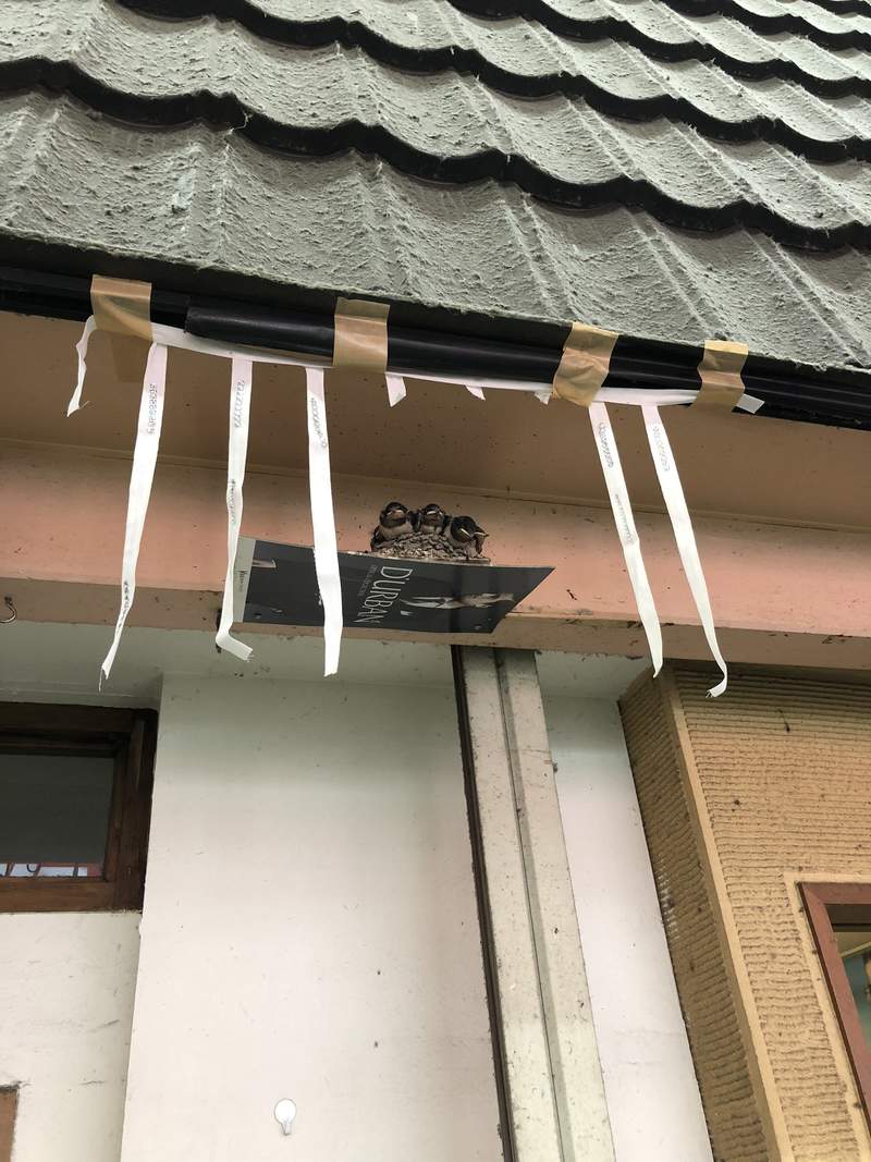圖片11 圖片11