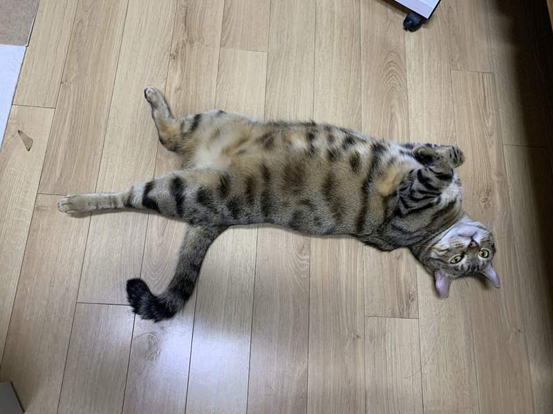 圖片14 圖片14