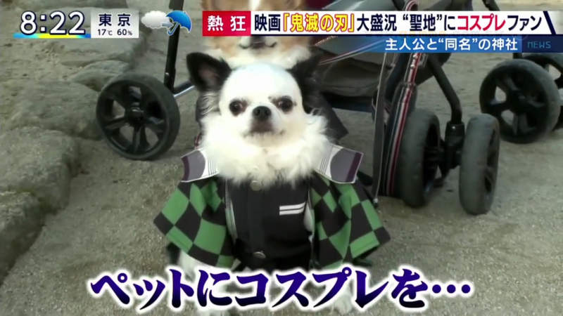 圖片19 圖片19