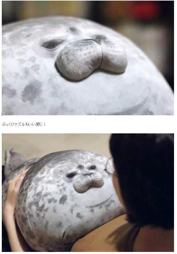 圖片6 圖片6