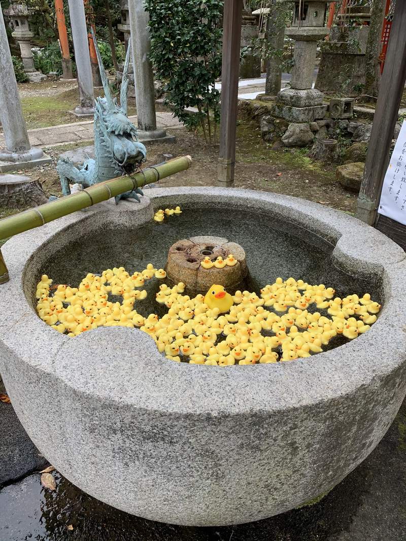圖片5 圖片5