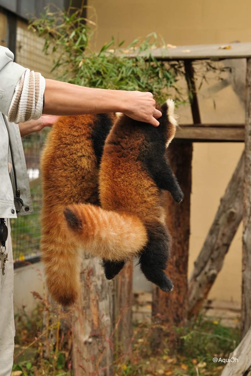 圖片5 圖片5