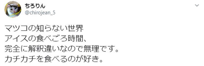 圖片17 圖片17