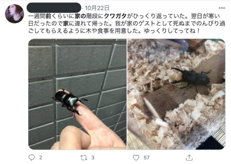圖片13 圖片13