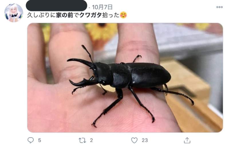 圖片14 圖片14