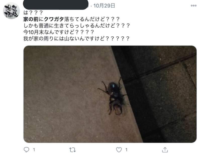 圖片15 圖片15
