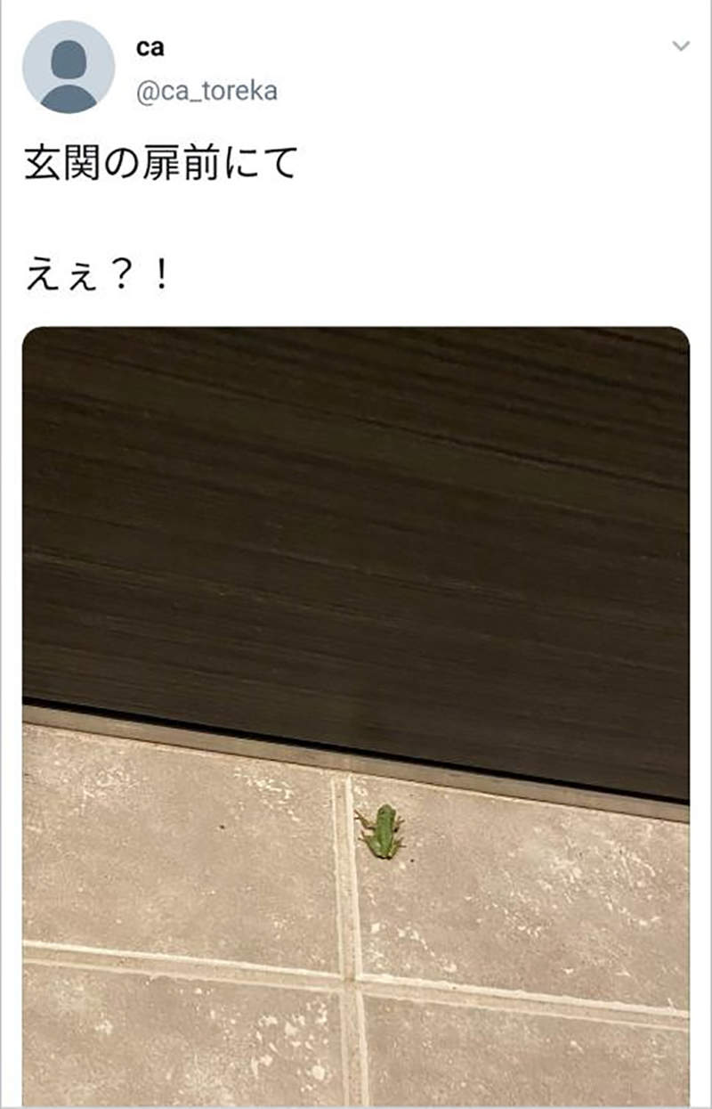 圖片11 圖片11