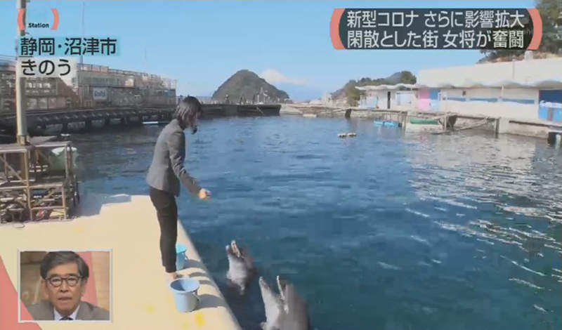圖片8 圖片8