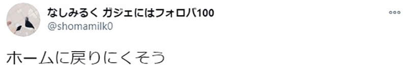 圖片13 圖片13