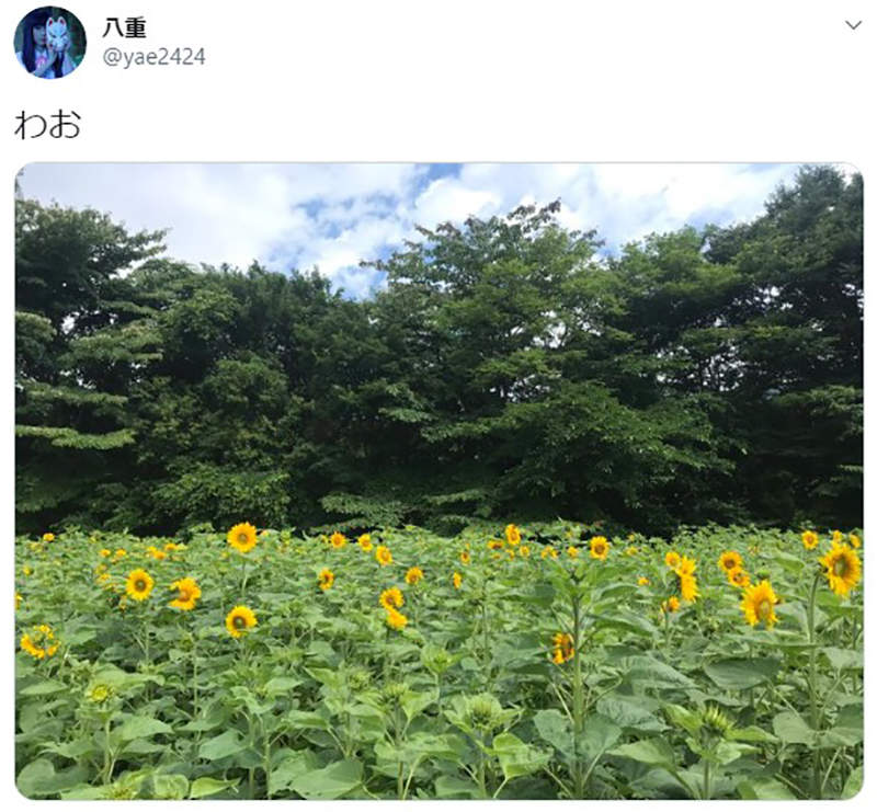 圖片10 圖片10