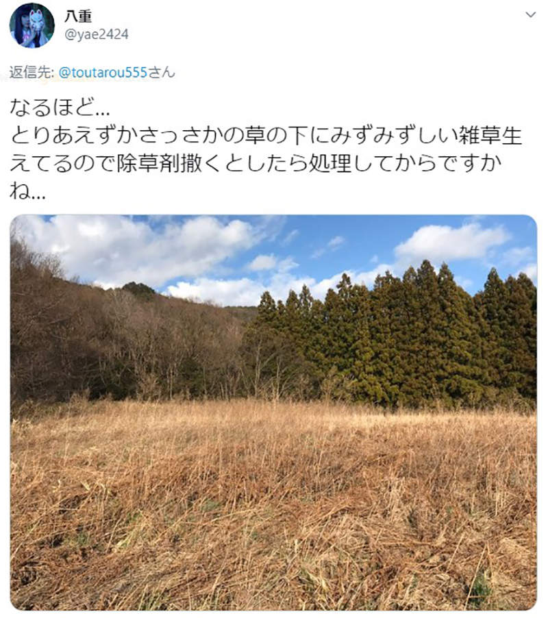 圖片8 圖片8