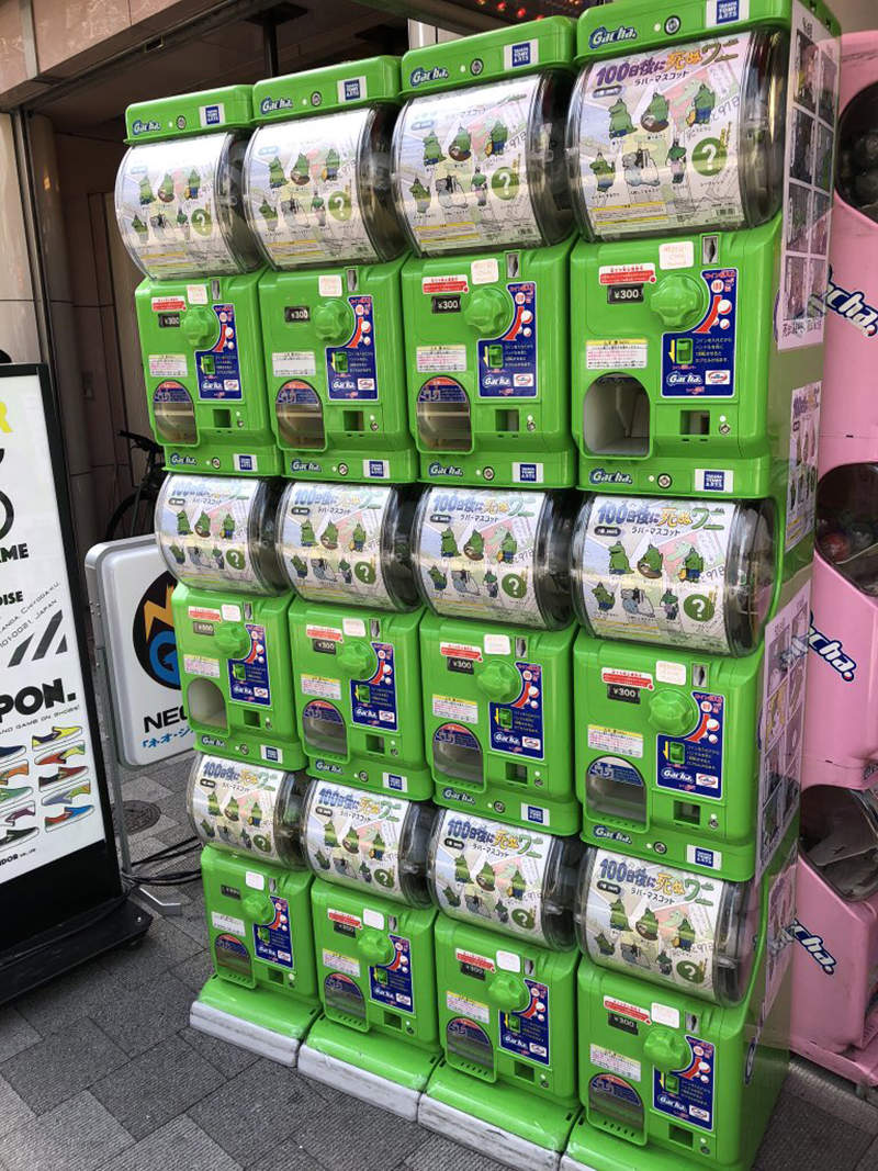 圖片7 圖片7