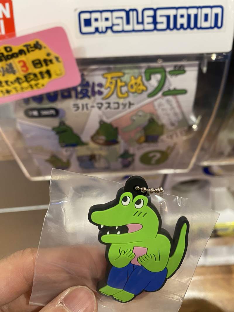 圖片11 圖片11