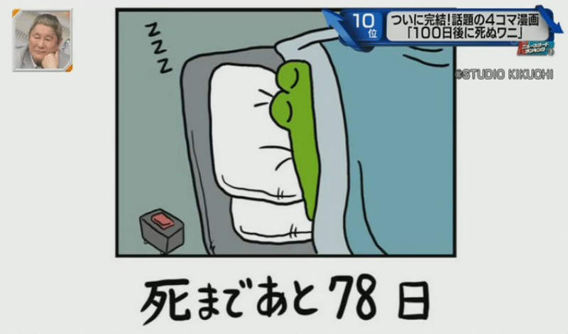 圖片15 圖片15