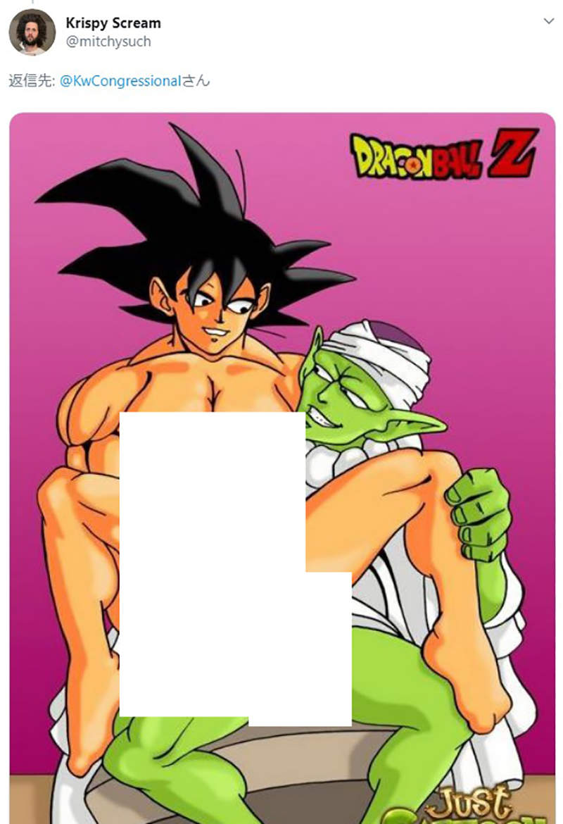 七龍珠Z是色情動畫之首》眾議員候選人批評殘害國家幼苗網友狂貼色情圖片洗板抗議