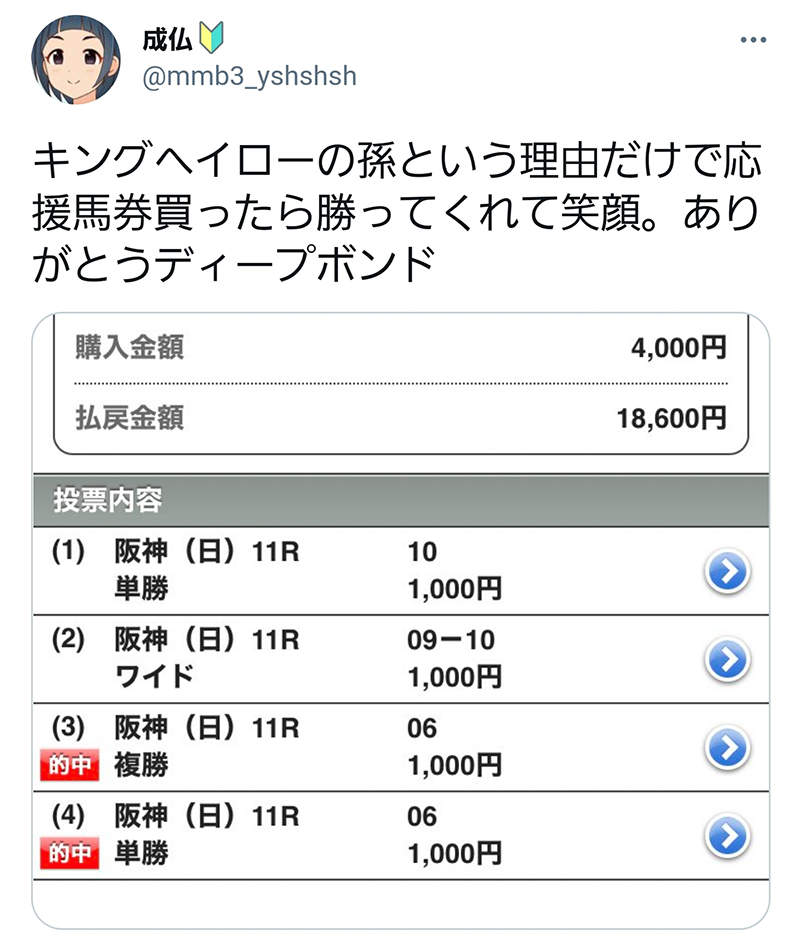 圖片13 圖片13