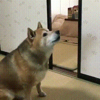 圖片14 圖片14