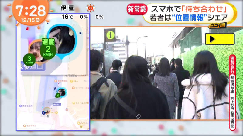 圖片15 圖片15
