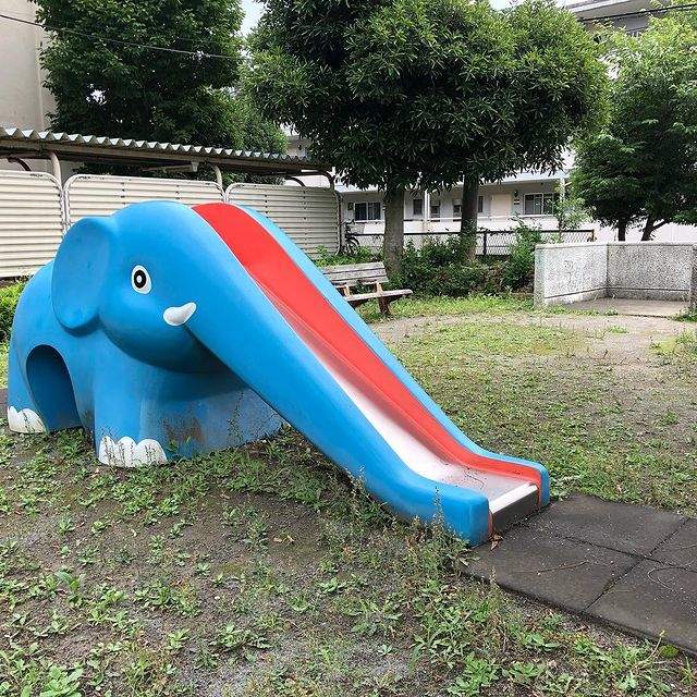 圖片11 圖片11