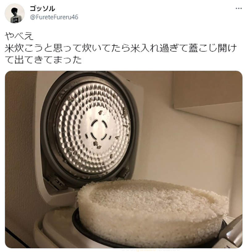 圖片15 圖片15