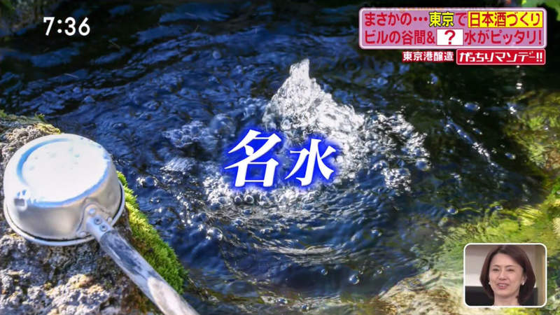 圖片17 圖片17