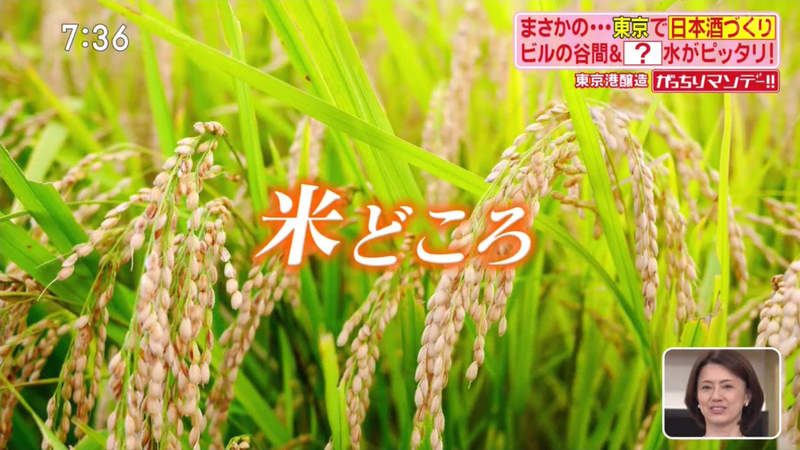 圖片18 圖片18