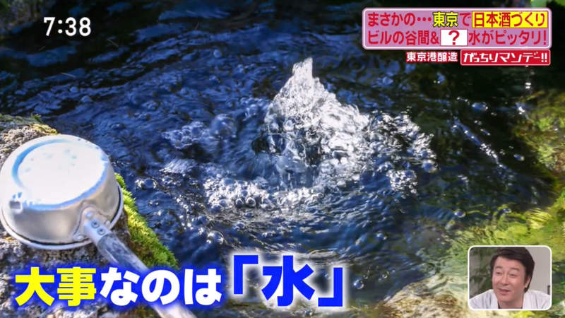 圖片38 圖片38