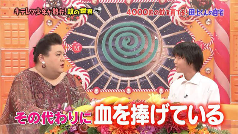 圖片11 圖片11
