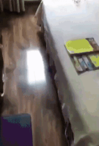 圖片7 圖片7