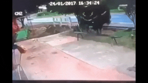 圖片24 圖片24