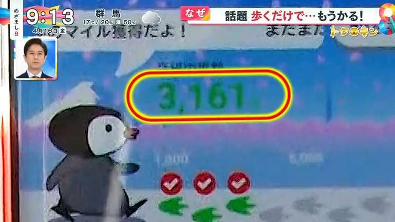 圖片13 圖片13