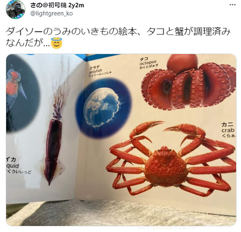 圖片4 圖片4