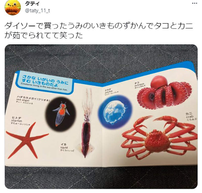 圖片7 圖片7