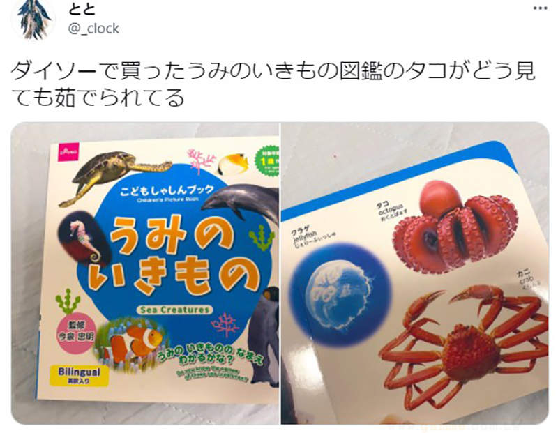 圖片8 圖片8