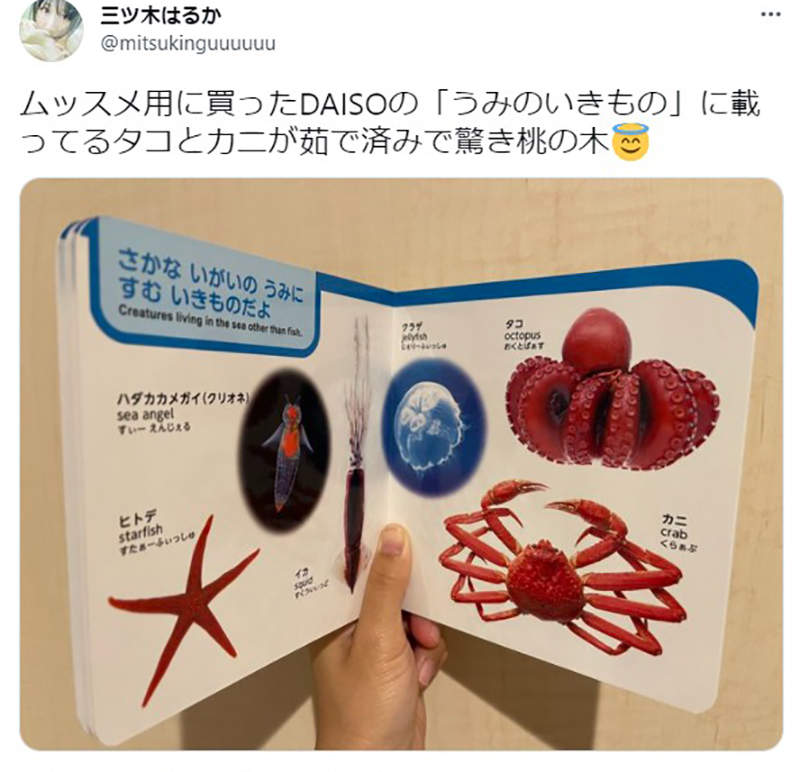 圖片9 圖片9