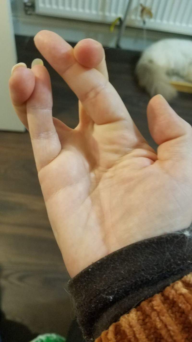 圖片13 圖片13