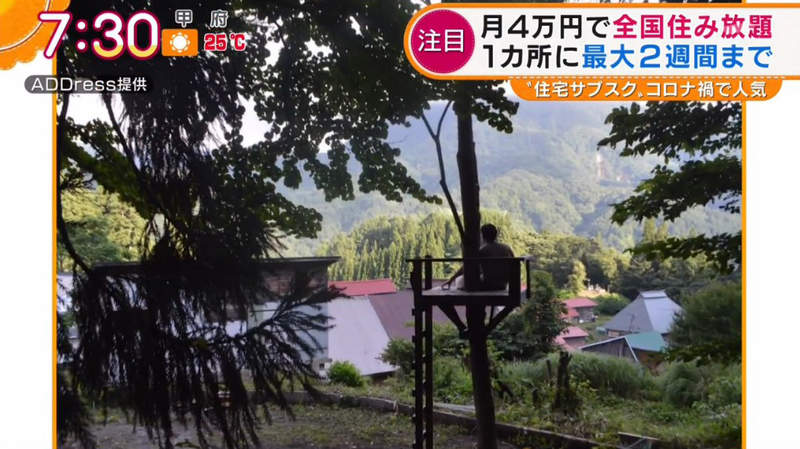 圖片17 圖片17