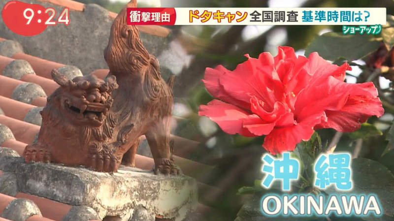 圖片10 圖片10