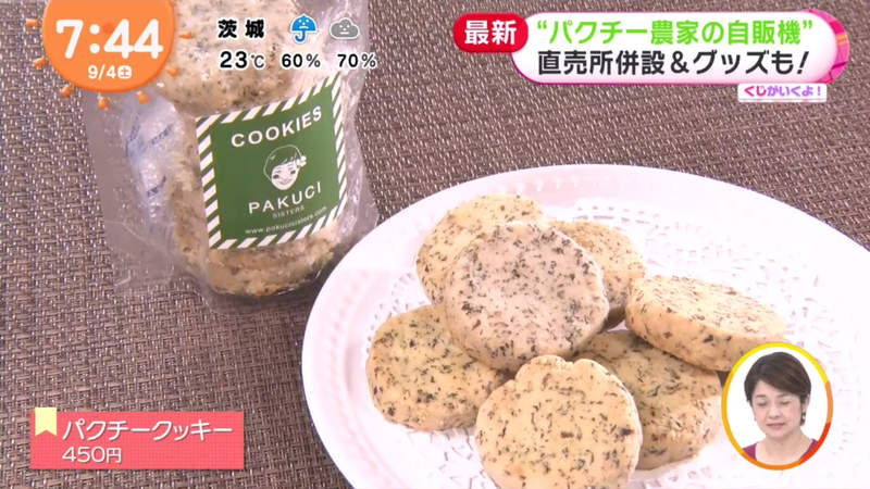 圖片10 圖片10