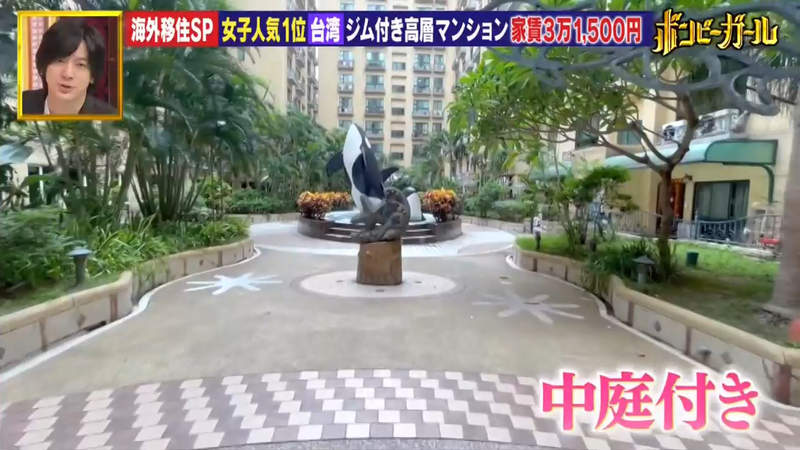 圖片12 圖片12
