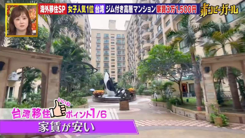 圖片13 圖片13