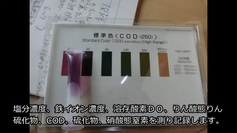 圖片11 圖片11