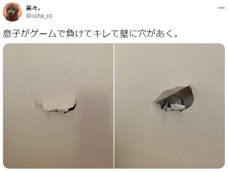 圖片5 圖片5