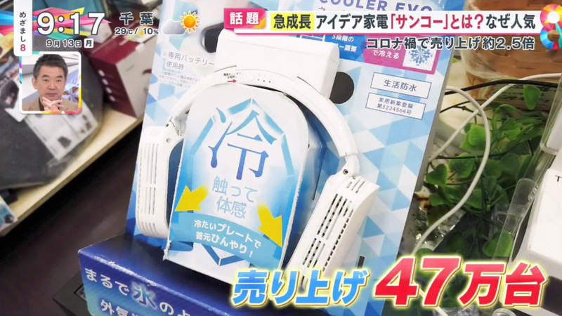 圖片13 圖片13