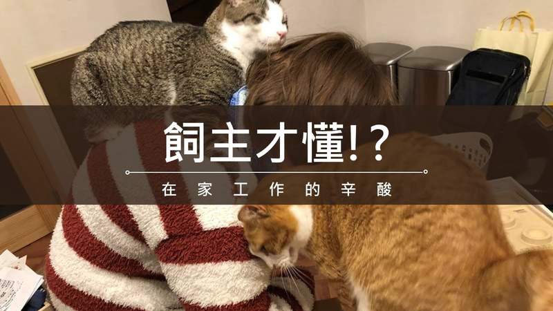 圖片8 圖片8