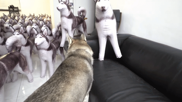 圖片9 圖片9