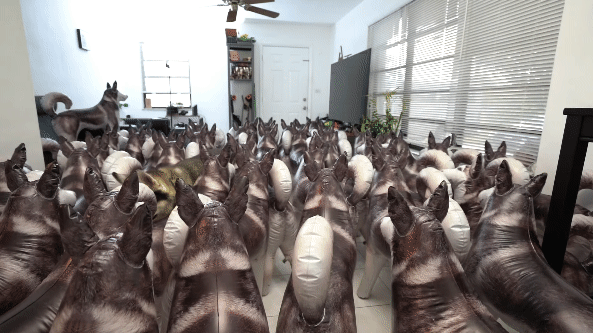 圖片10 圖片10