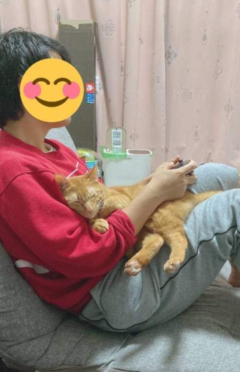 圖片6 圖片6