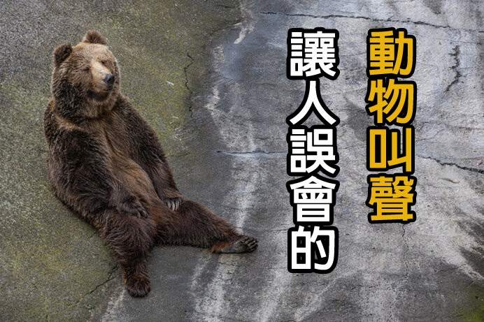 圖片8 圖片8