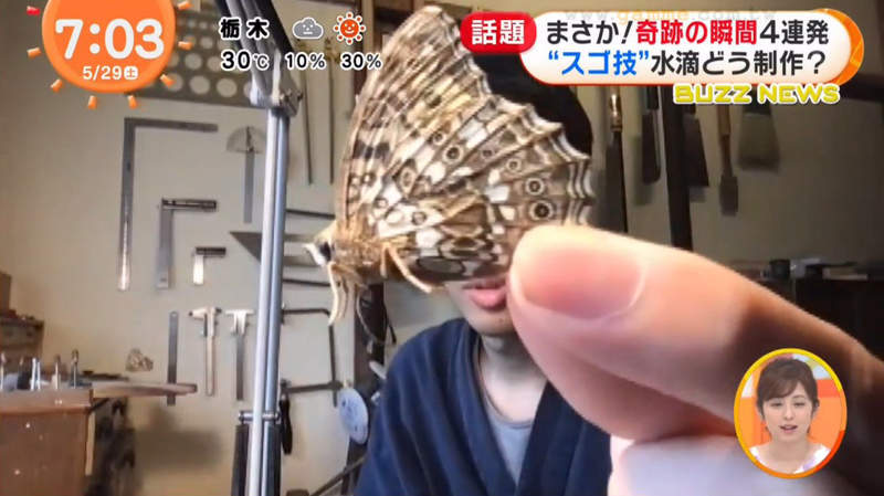 圖片11 圖片11